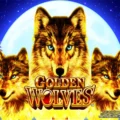 Golden Wolves
