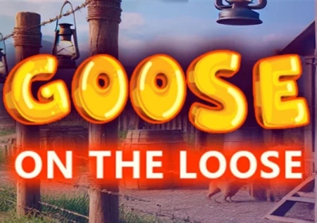 Goose on the Loose
