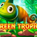 Green Tropics 3×3