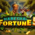 Habesha Fortune 5