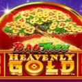Heavenly Gold