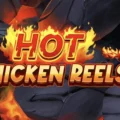 Hot Chicken Reels