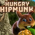 Hungry Chipmunk