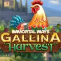 Immortal Ways Gallina Harvest