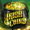 Irish Coins