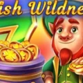 Irish Wildness