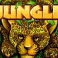 Jungle