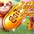 Kitten Rest 3×3
