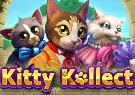 Kitty Kollect