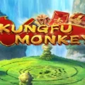 Kung Fu Monkey