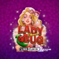 Lady Charm Bug
