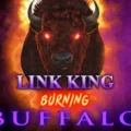 Link King Burning Buffalo