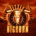 Little Bighorn