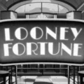 Looney Fortune