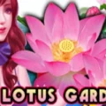 Lotus Garden