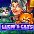 Lucie’s Cats