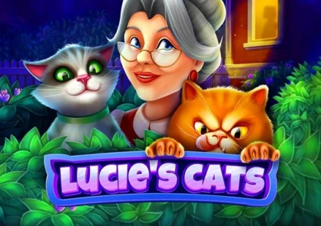 Lucie’s Cats