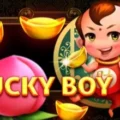 Lucky Boy