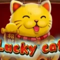 Lucky Cat