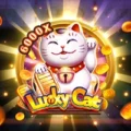 Lucky Cat