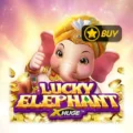 Lucky Elephant X-Huge