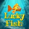 Lucky Fish