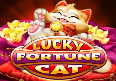 Lucky Fortune Cat