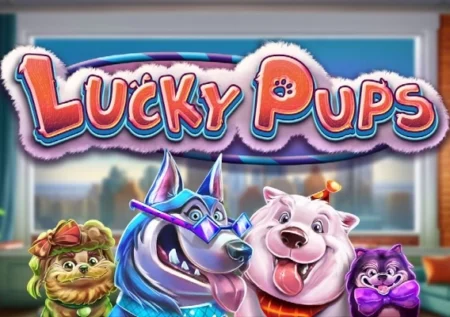Lucky Pups
