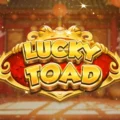 Lucky Toad