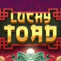 Lucky Toad