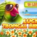 Lucky Tropical Birds