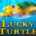 Lucky Turtle