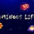 Luminous Life