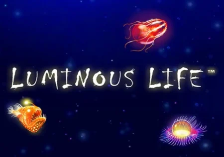 Luminous Life