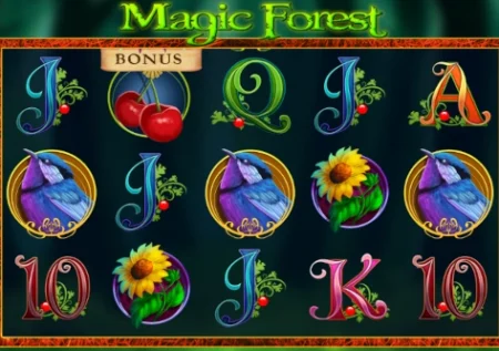 Magic Forest