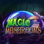 Magic Mashrooms