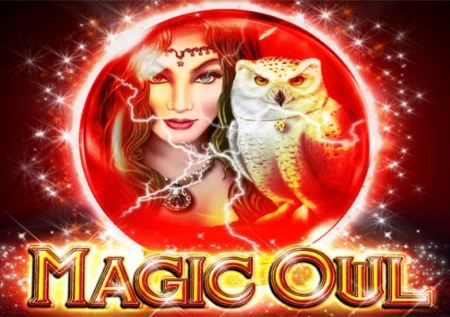 Magic Owl