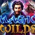 Magic Wilds