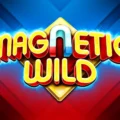 Magnetic Wild