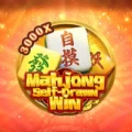 Mahjong Self-Drawn Win