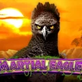 Martial Eagle