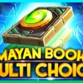 Mayan Book