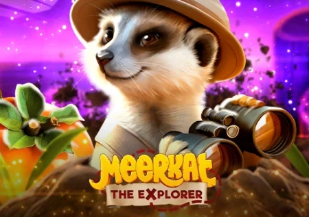 Meerkat