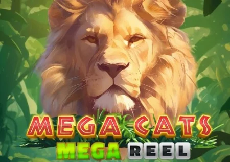 Mega Cats Mega Reel