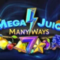 Mega Juicy Manyways