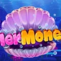 MerMoney