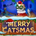 Merry Catsmas