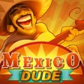 Mexico Dude