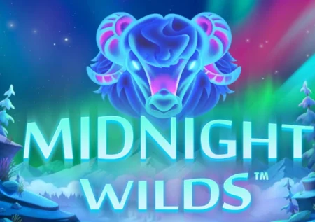 Midnight Wilds