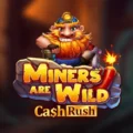 Miners are Wild – Cash Rush
